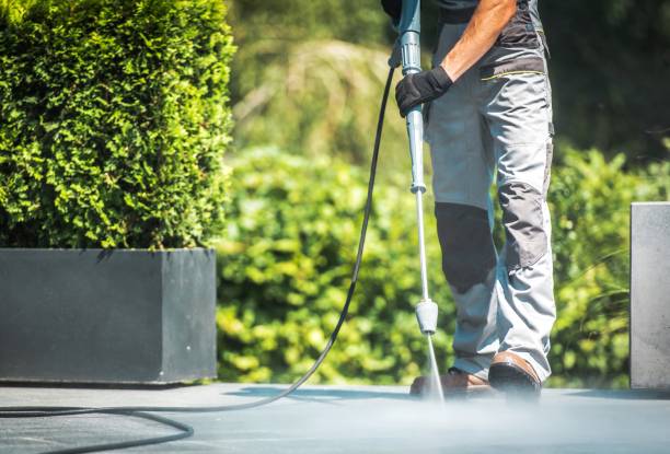 Best Pre-Holiday Cleaning  in Porter Heights, TX
